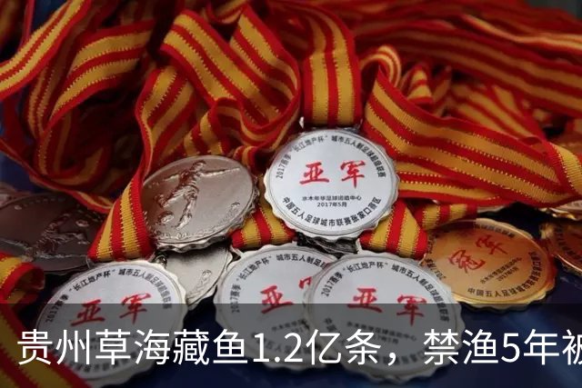 贵州草海藏鱼1.2亿条，禁渔5年被啃成秃海！长江能重蹈覆辙吗？